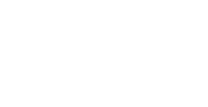 Alprince Tourism